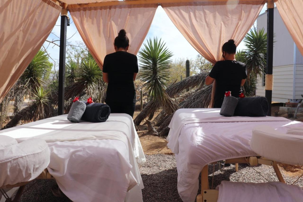 Experience Aparthotel El Cardonal Ngoại thất bức ảnh